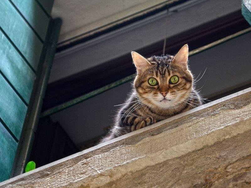 Redes de segurança para cobertura em Caxias do Sul