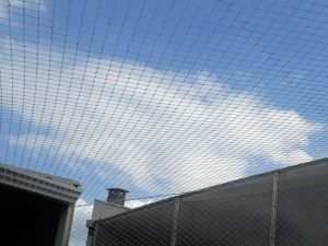 Redes de segurança para creches em Caxias do Sul