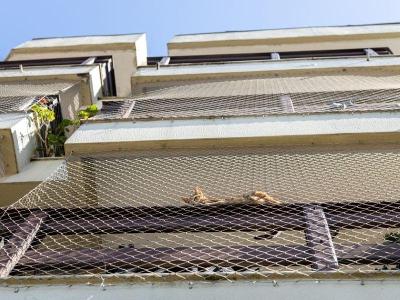Redes de Proteção em Caxias do Sul Redes de Proteção em Caxias do Sul