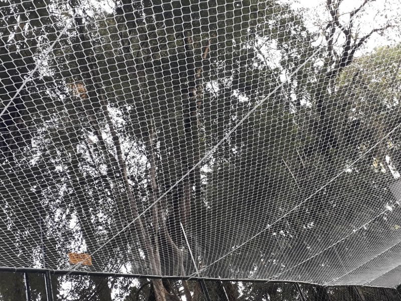 Tela de segurança de alta resistência em Pedancino, Caxias do Sul