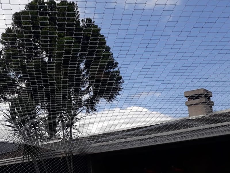 Telas de Segurança para Janelas Garibaldi Redes de Proteção Garibaldi